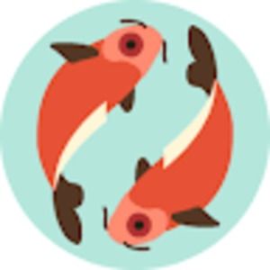 Meet your Posher, Jaz